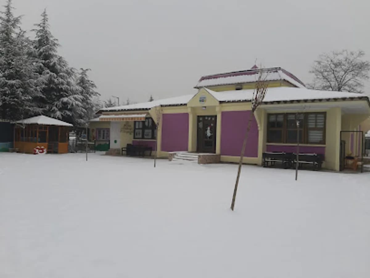 Anlam Kids Anaokulu - Fotoğraf