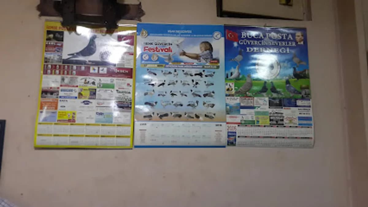 İzmir Yardım Sevenler Derneği Kuşcular İlköğretim Okulu - Fotoğraf