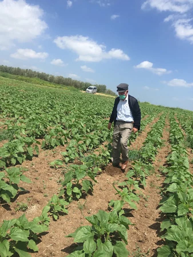 Gümüşdere İlkokulu