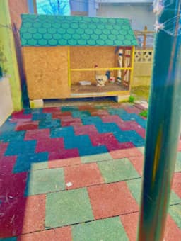 İstanbul Koleji Anaokulu - Sinop Anaokulu - Fotoğraf