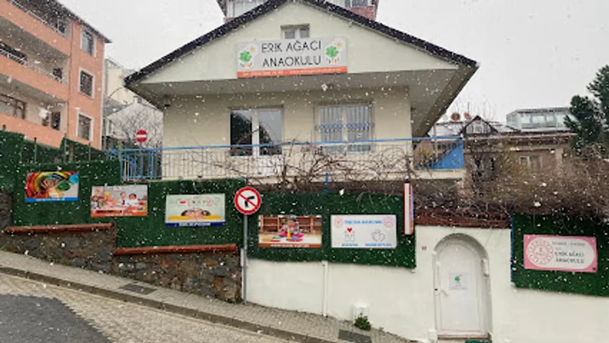 Erik Ağacı Montessori Anaokulu