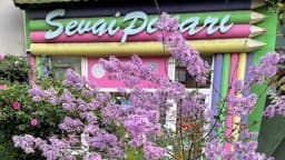 İncirli Sevgi Pınarı Anaokulu - İncirli Özel Kreş - Fotoğraf