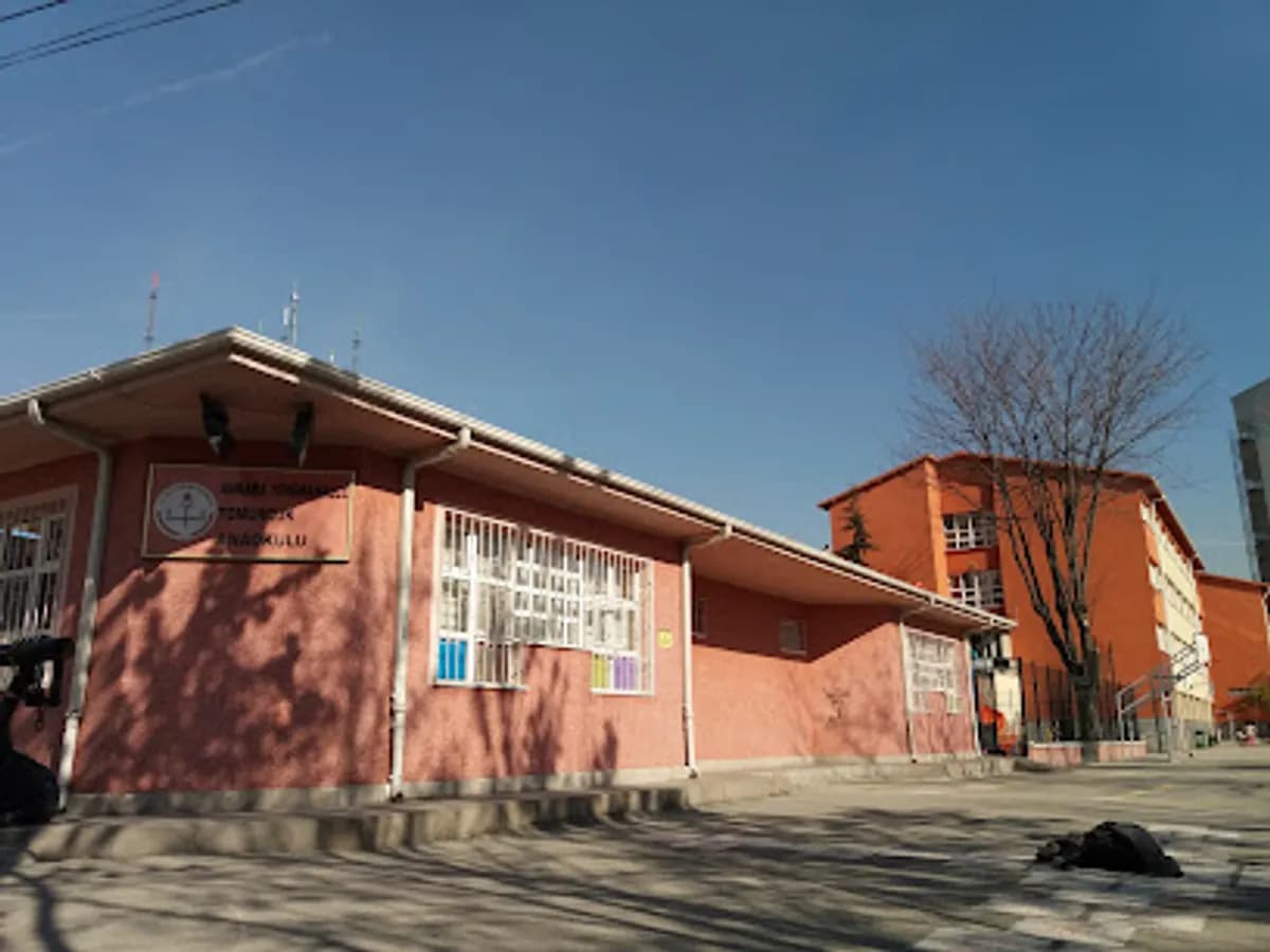 Tomurcuk Anaokulu - Photo