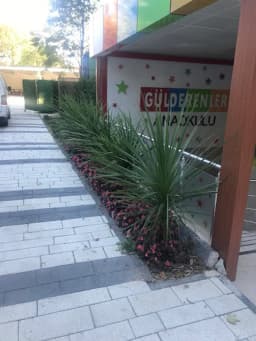 Gulderenler Anaokulu - Fotoğraf