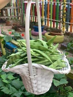 Foça Belediyesi Çocuk Evi - Fotoğraf