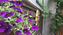 Cogito Anaokulu Kreş Gayrettepe - Photo