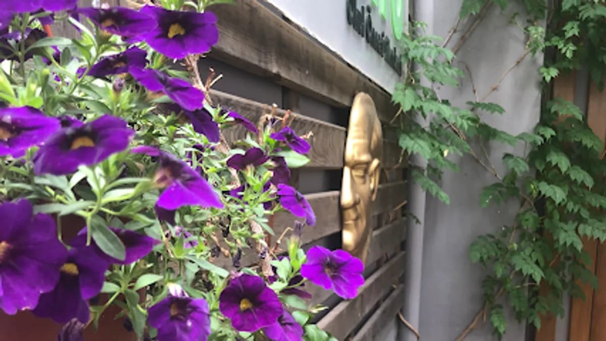 Cogito Anaokulu Kreş Gayrettepe - Photo