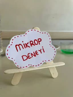 Küçük Yıldızlar Mini Koleji Kreş ve Anaokulu - Fotoğraf