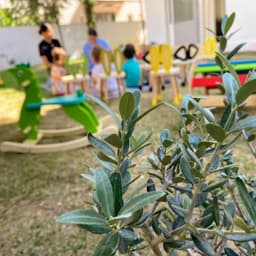 Düş Mucitleri Bilim Anaokulu & Mucikids E.l.c - Fotoğraf