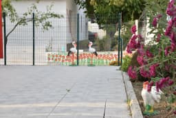 Özel Minikler Kasabası Anaokulu - Fotoğraf