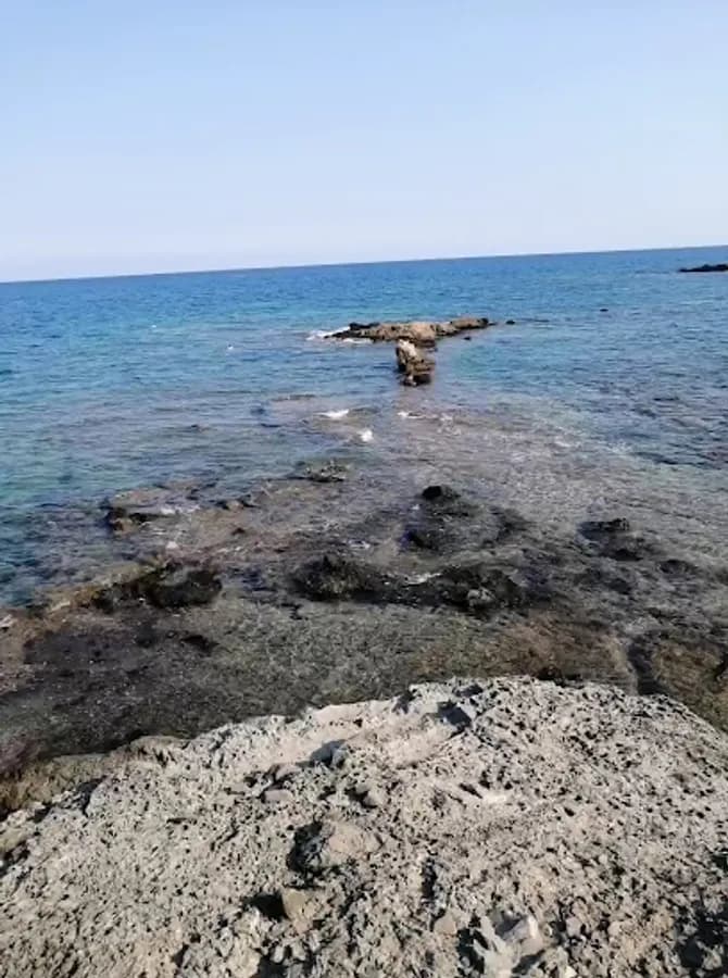 Kemer Özel Ayışığı Anaokulu - Fotoğraf