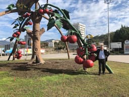 Özel Akdeniz Yıldızları Anaokulu - Fotoğraf