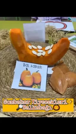 Özel Çok Bilmişler Gündüz Bakımevi & Anaokulu - Fotoğraf