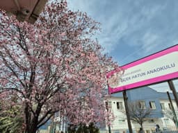 Çiçek Hatun Anaokulu - Fotoğraf