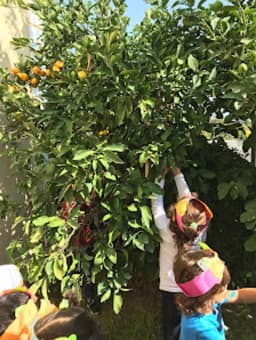 Urlada Anaokulu | Urla Özel Pembe Düşler Anaokulu - Fotoğraf