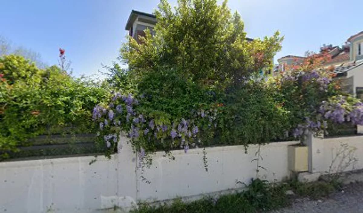 Bahçeşehir Koleji Anaokulu - Fotoğraf