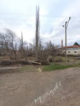 Şehit Ali Kantemir İlköğretim Okulu - Fotoğraf