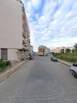 Hağat Ağacı Anaokulu - Fotoğraf