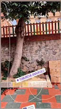 Özel Ümraniye Tomurcuk Anaokulu - Fotoğraf