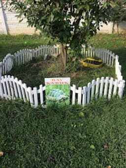 Özel Minik Koza Anaokulu - Fotoğraf