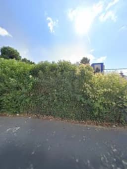 Kelebek Orman Anaokulu - Fotoğraf