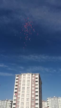 Şehit Mehmet Erdoğan İlkokulu - Fotoğraf