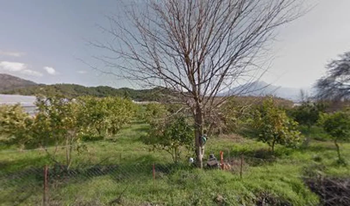 Magic Oyun Kampı - Fotoğraf