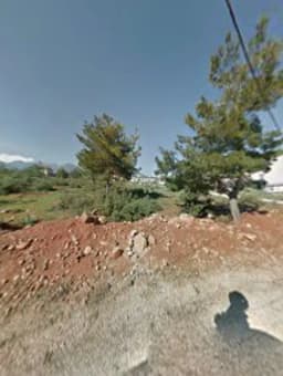 Limon Bahçesi Anaokulu - Photo