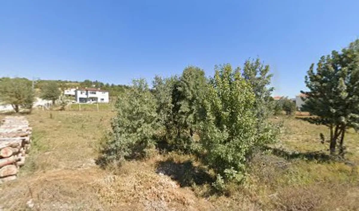 Mustafa Kaya Y.i.b.o. - Photo