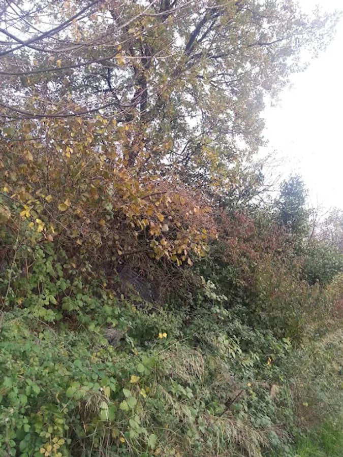 Yenimahalle Anaokulu