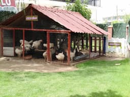 Özel Sihirlieller Anaokulu - Fotoğraf