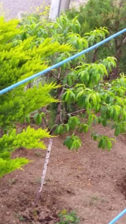 Hasanoğlan Öğretmenler İlkokulu - Photo