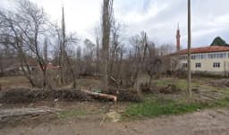 Şehit Ali Kantemir İlköğretim Okulu - Fotoğraf