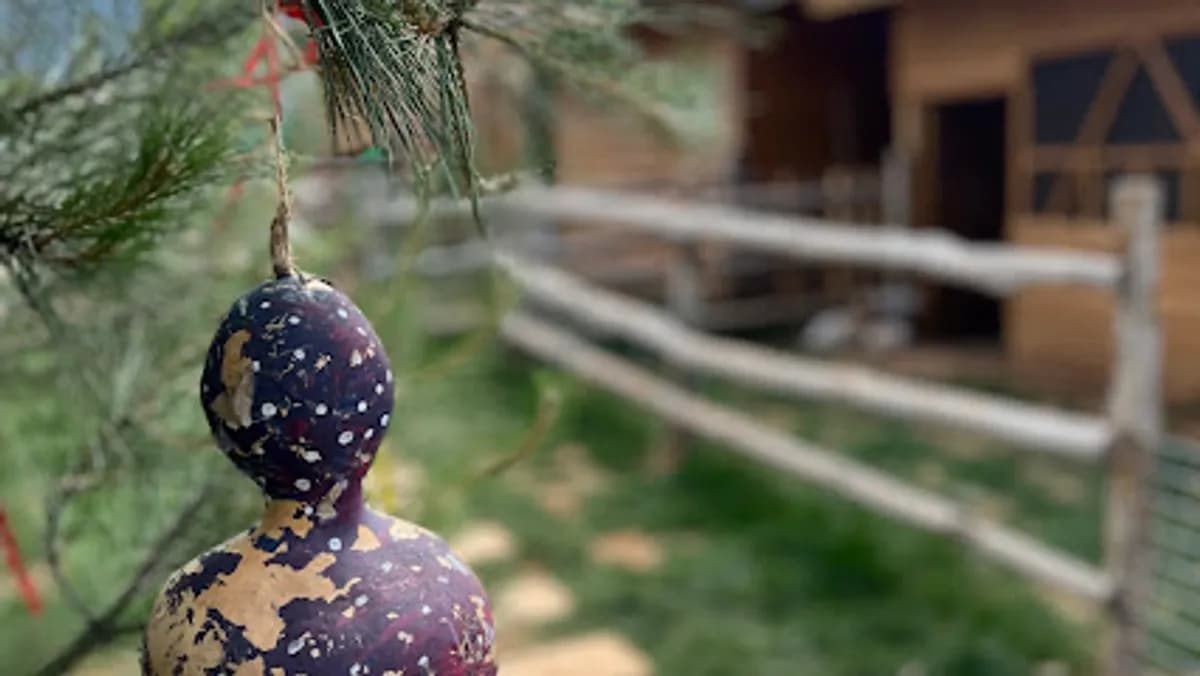 Saklambaç Kasabası Kreş Anaokulu - Photo