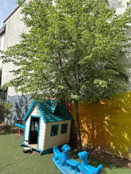 Ada Anaokulu / Madenler-esenşehir - Fotoğraf