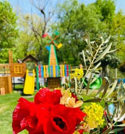 Renkli Koza Anaokulu - Fotoğraf