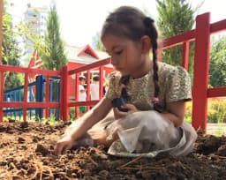 Thinking Anaokulu - Fotoğraf
