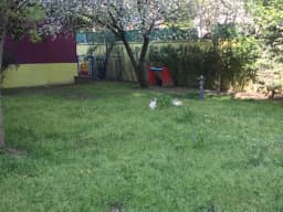 Lider Çocuk Anaokulu Çekmeköy Kreş Taşdelen Anaokulu Madenler Kreş Fiyatları En İyi Anaokulu - Fotoğraf