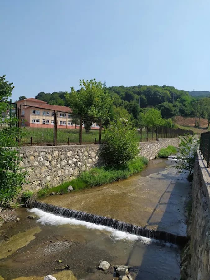 Pazarköy İlkokulu - Ortaokulu - İmam Hatip Ortaokulu