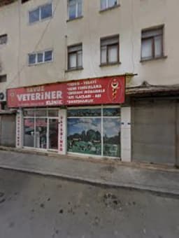 Terme Özel Eğitim Anaokulu - Photo