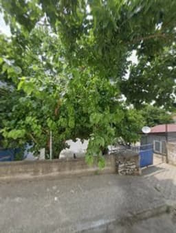 Şükrü Saraçoğlu Anaokulu - Photo