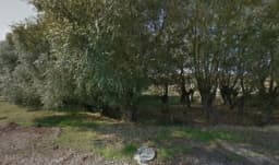 Fidanlar Anaokulu - Fotoğraf