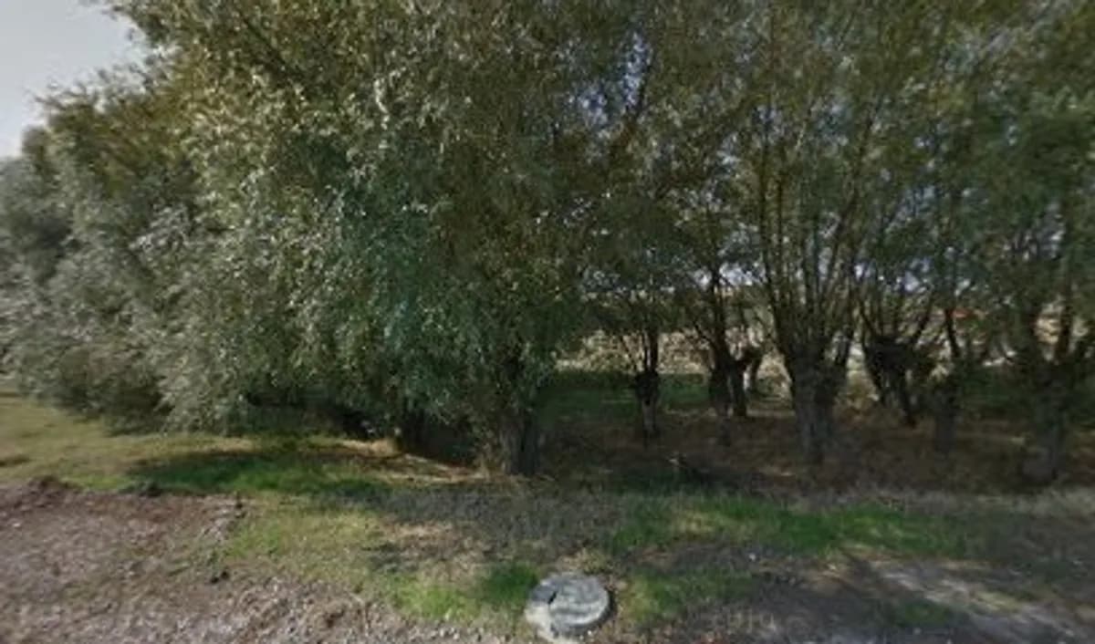 Fidanlar Anaokulu - Fotoğraf