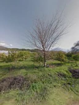 Magic Oyun Kampı - Fotoğraf