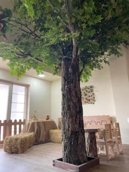 Pastelköy Preschool | Pastel Köy Çayyolu Alacaatlı Ümitköy İncek Kreş Anaokulu - Fotoğraf