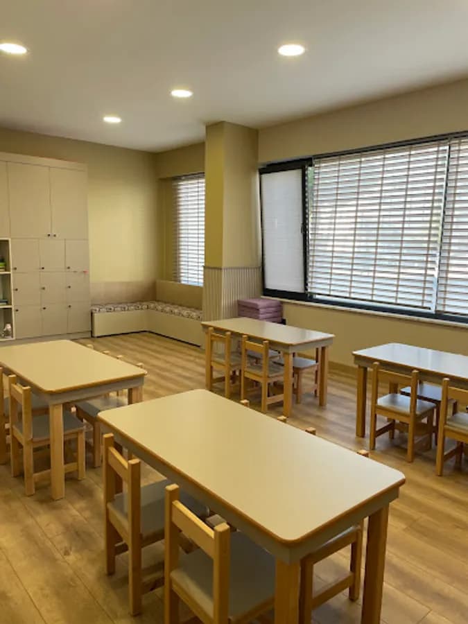 Ordu Aynur Şahin Anaokulu - Fotoğraf