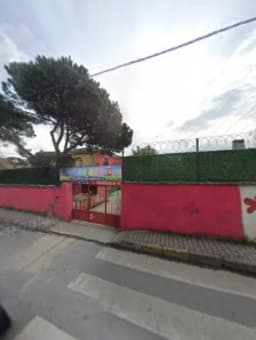 Özel Sultanbeyli Papatyam Anaokulu - Fotoğraf