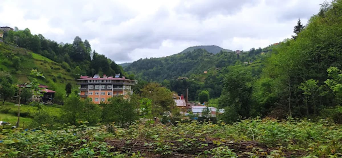 Merkez İlkokulu - Fotoğraf