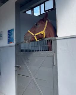 Elif Çocuk Akademisi - Fotoğraf