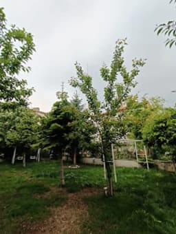 Hbn Akademi Anaokulu - Photo